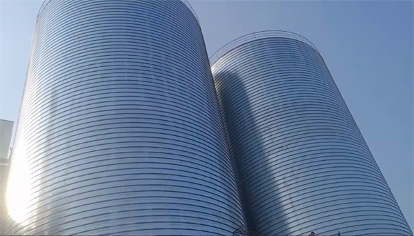 玉溪2座混凝土高架卷板仓